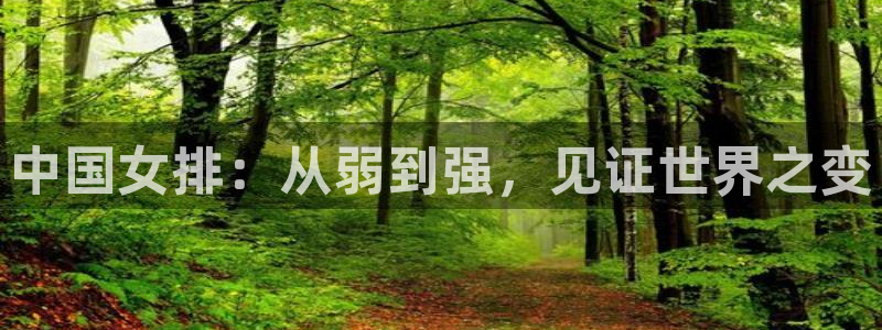 2026世界杯赛程表完整版：中国女排：从弱到强，见证世界之变