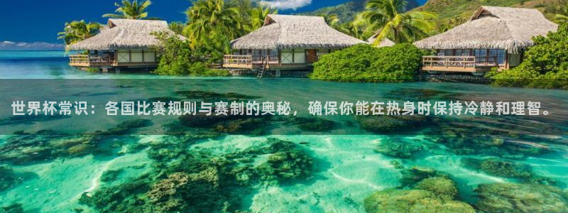 2026年世界杯赛程表时间：世界杯常识：各国比赛规则与赛制的奥秘，确保你能在热身时保持冷静和理智。