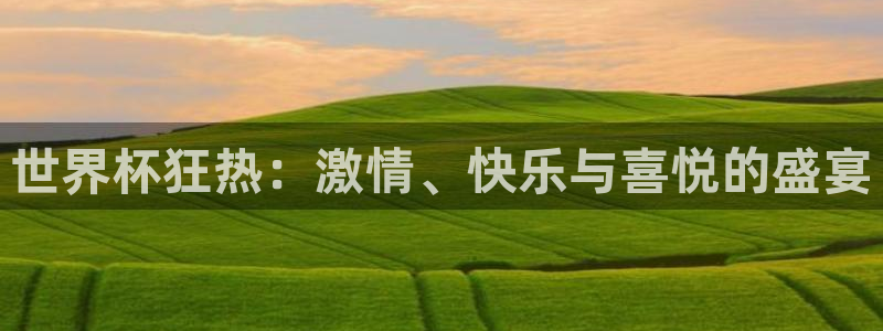 2026世界杯足球赛程时间表：世界杯狂热：激情、快乐与喜悦的盛宴