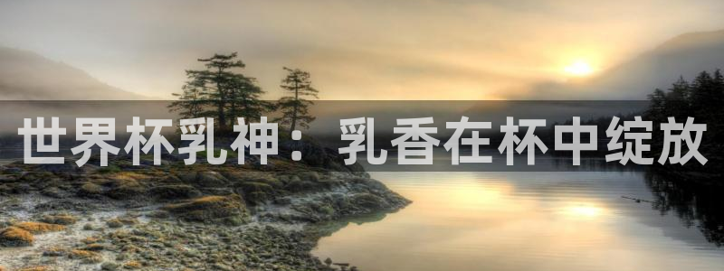世界杯视频：世界杯乳神：乳香在杯中绽放