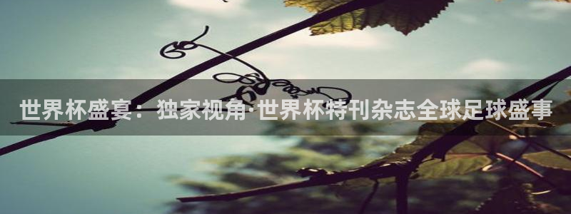 世界杯决赛直播：世界杯盛宴：独家视角·世界杯特刊杂志全球足球盛事