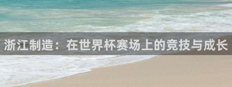 2026足球世界杯：浙江制造：在世界杯赛场上的竞技与成长