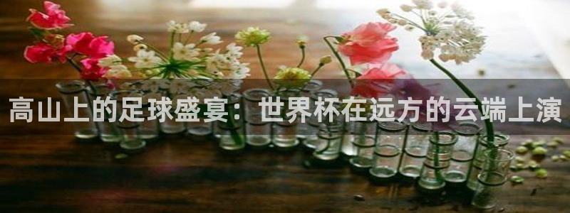 亚洲杯比赛直播：高山上的足球盛宴：世界杯在远方的云端上演