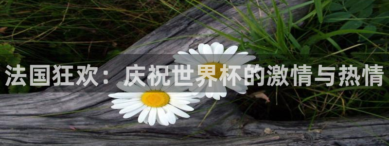 葡萄牙世界杯赛程：法国狂欢：庆祝世界杯的激情与热情