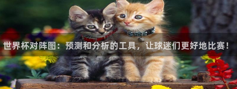 女足世界杯直播在线观看免费高清：世界杯对阵图：预测和分析的工具，让球迷们更好地比赛！