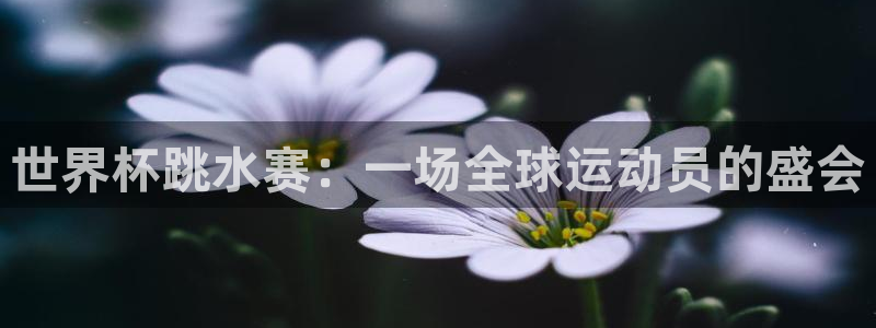 亚洲区世界杯预选赛：世界杯跳水赛：一场全球运动员的盛会