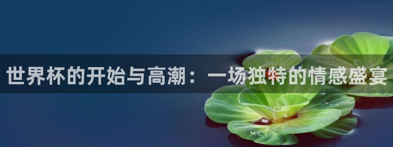 2026年世界杯赛程表时间：世界杯的开始与高潮：一场独特的情感盛宴