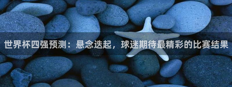 2006年世界杯冠军：世界杯四强预测：悬念迭起，球迷期待最精彩的比赛结果