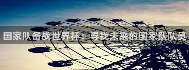 2026世界杯官网：国家队备战世界杯：寻找未来的国家队队员