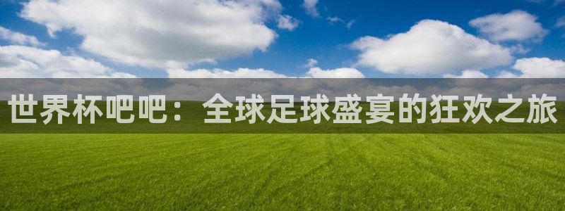 世界杯欧洲预选赛：世界杯吧吧：全球足球盛宴的狂欢之旅