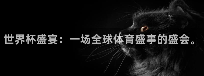 世界杯球赛：世界杯盛宴：一场全球体育盛事的盛会。