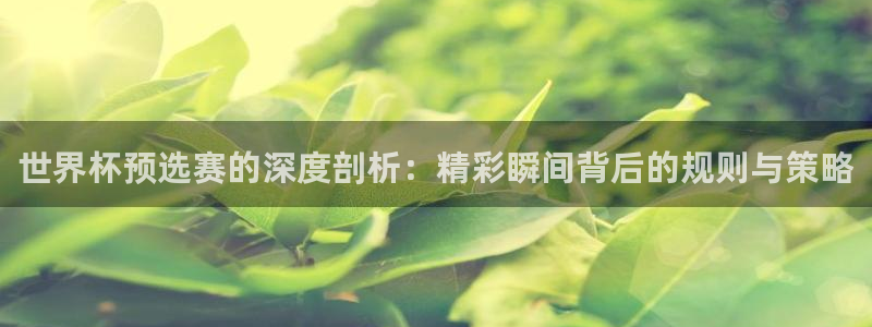 2026世界杯赛制：世界杯预选赛的深度剖析：精彩瞬间背后的规则与策略