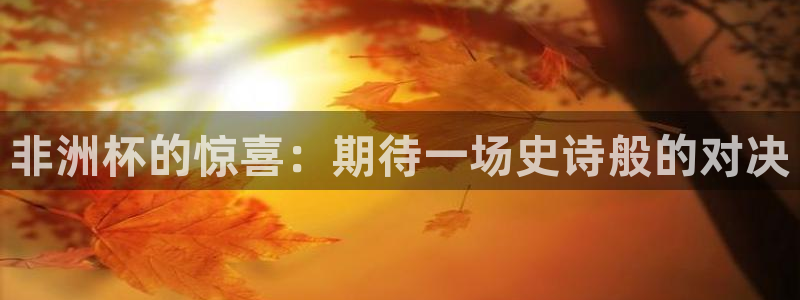 世界杯亚洲区预选赛赛程表：非洲杯的惊喜：期待一场史诗般的对决
